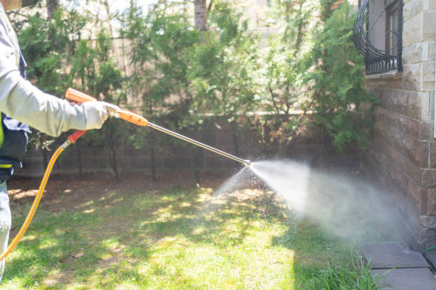 Best Lawn Pest Control  in Northampton, PA